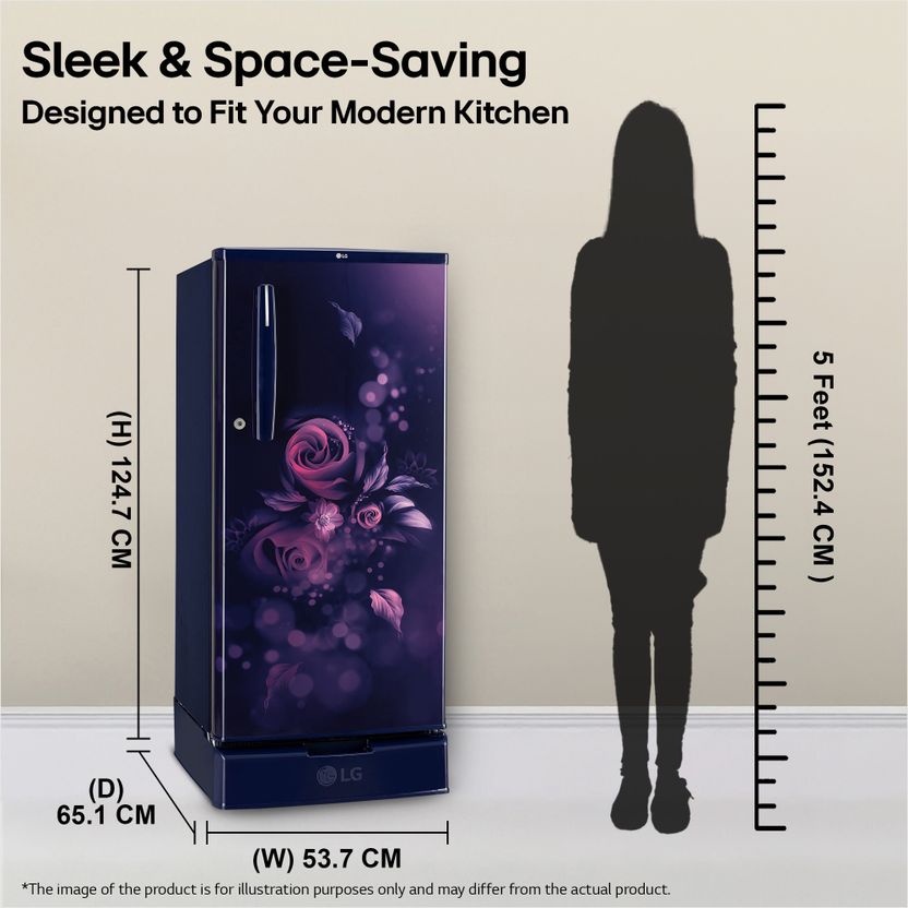 LG 185 L Direct Cool Single Door Refrigerator - Image 6