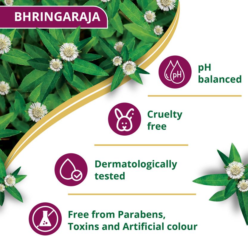 Himalaya Anti-Hair Fall Bhringaraja Shampoo 340 ml - Image 8