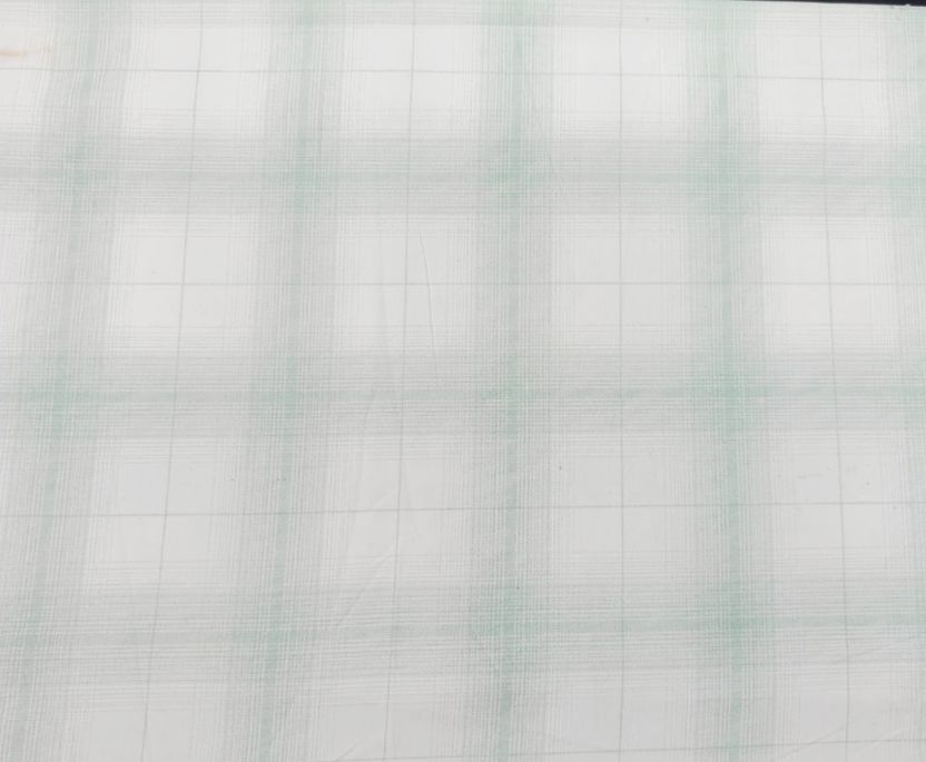 S-LINE Men Light Green Checkered Shirt - Image 3
