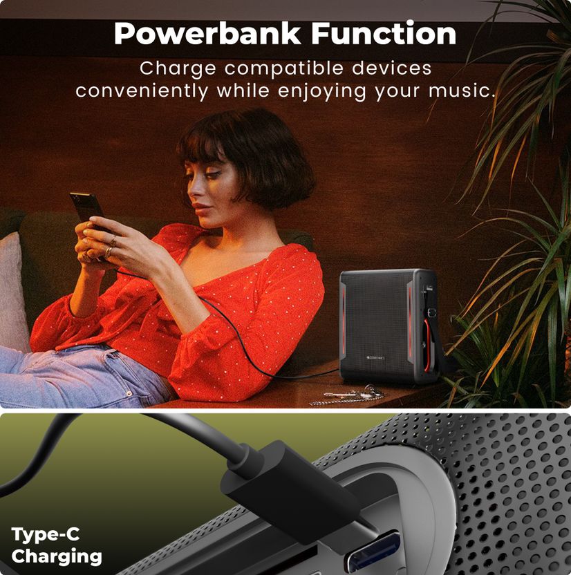 ZEBRONICS ZEB-PSPK 80 100W Bluetooth Speaker - Image 8