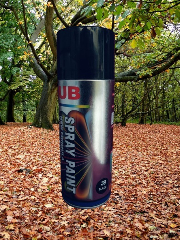 Loottt Fasttt Spray Paint For Car Bike 90 Offbuy N