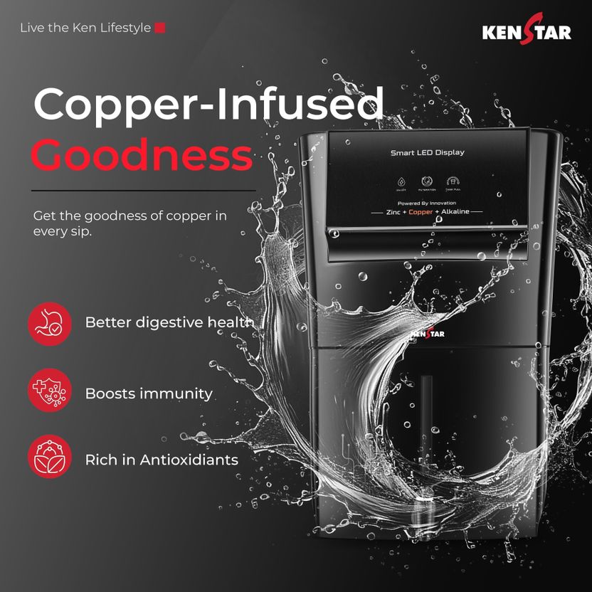 Kenstar Black Pureza 8L RO+UV+UF Water Purifier - Image 7