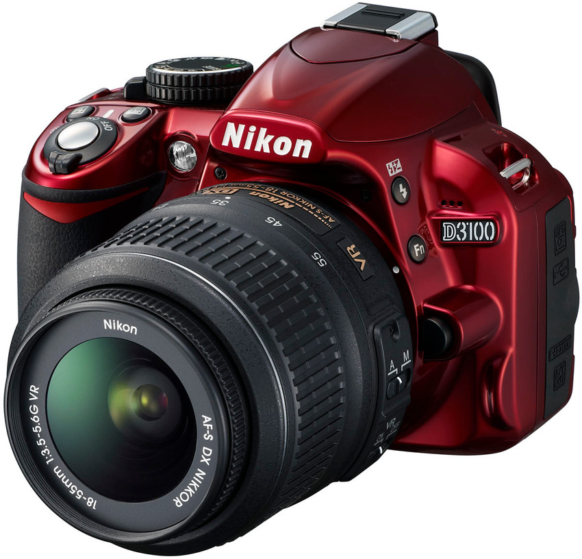 Nikon D3100-かがくのともむしたちのさくせんなりすますむしたちうんち