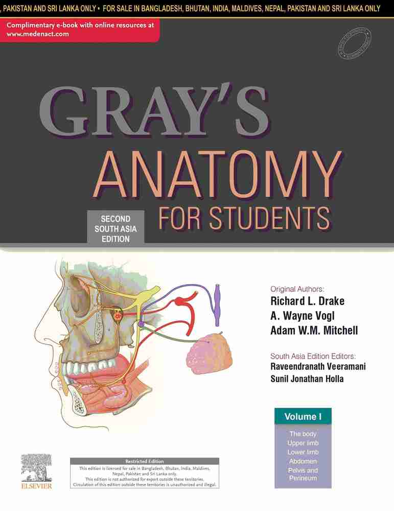 GRAY'S ANATOMY フラッシュカード 第5Gray's Anatomy Gray's