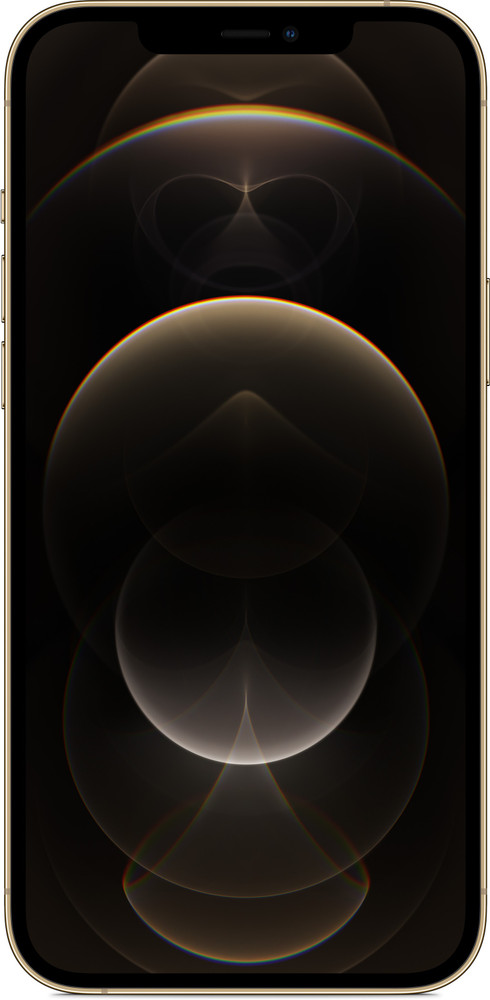 Apple iPhone 12 Pro Max ( 256 GB GB Storage, 0 GB RAM ) Online at 
