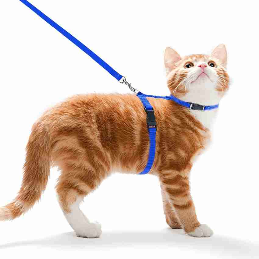 Futurekart Cat Collar Chain