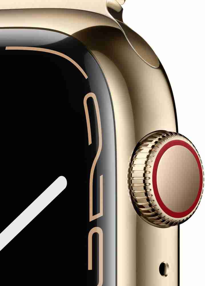 Apple Watch Series7(GPS+Cellular, 45mm) Gold Stainless Steel Case 