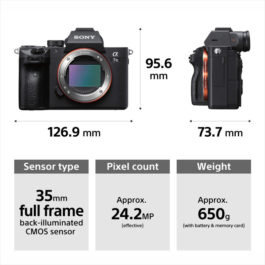 Sony A7r Ii Sony A7siii Dxomark Sony A7 Iii Dxomark A7iii Dxomark