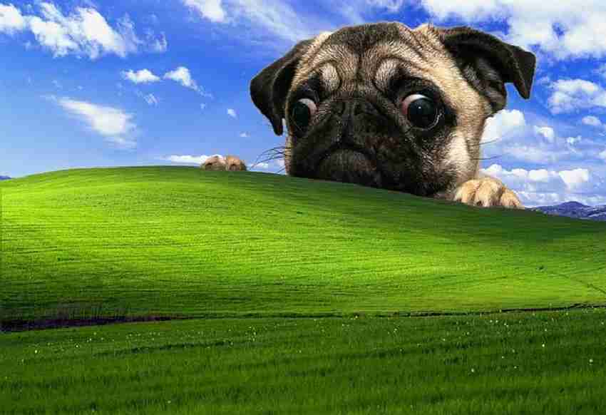 Windows Xp Mopuse Windows Xp Background Program Spits Out Cracked Windows XP Keys, If