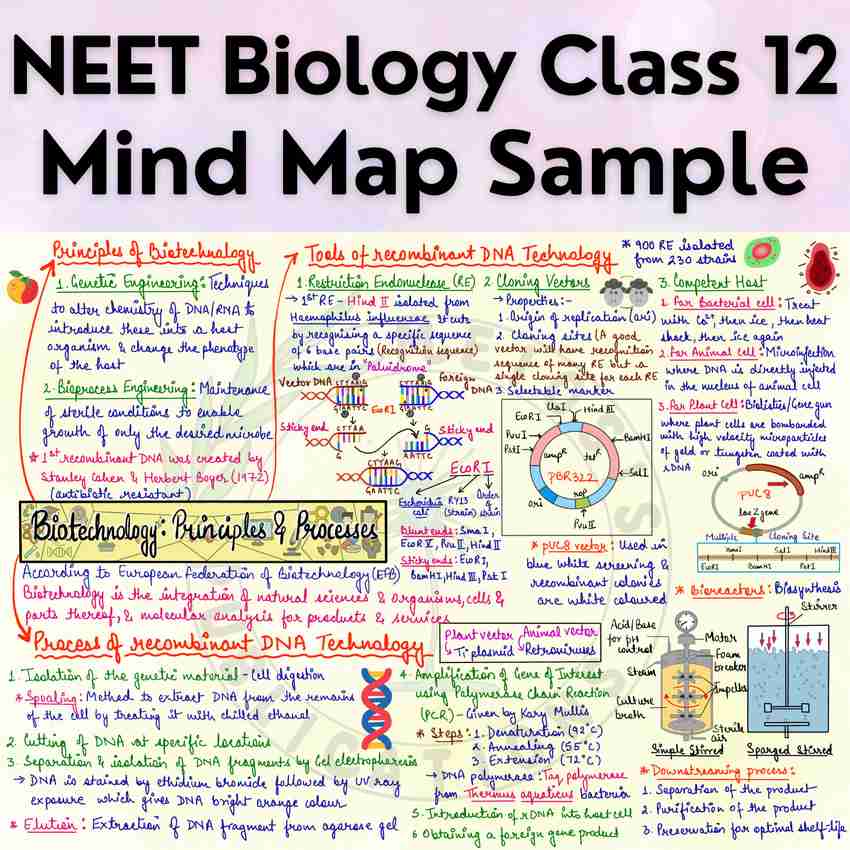グランドセール Mind Maps for Biology Class 12 Preparation - NEET UG - NEET 地図