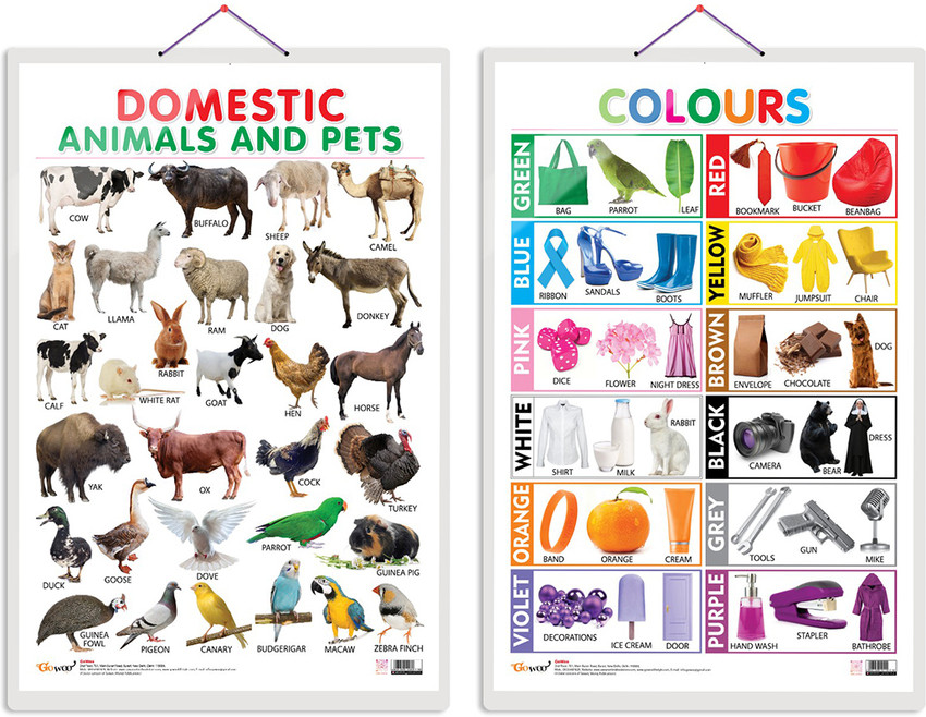 Jasart Kids Wall Chart Domestic Animals Animal