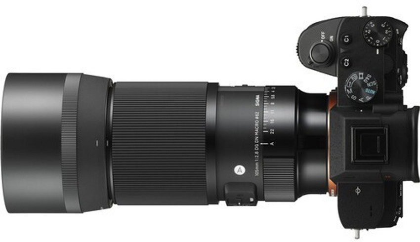 SIGMA 105mm f/2.8 DG DN Macro Art Sony E Telephoto Zoom Lens 