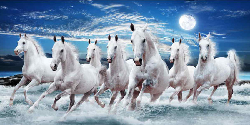 lucky seven horses running at sunrise ll 7 horse vastu poster in vinyl sticker Fine Art Print
