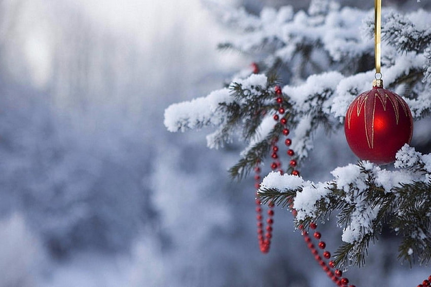 snow christmas tree snowy winter Poster Wallpaper Paper Print Religious posters in India Buy art film design movie music nature and educational paintings wallpapers at Flipkart