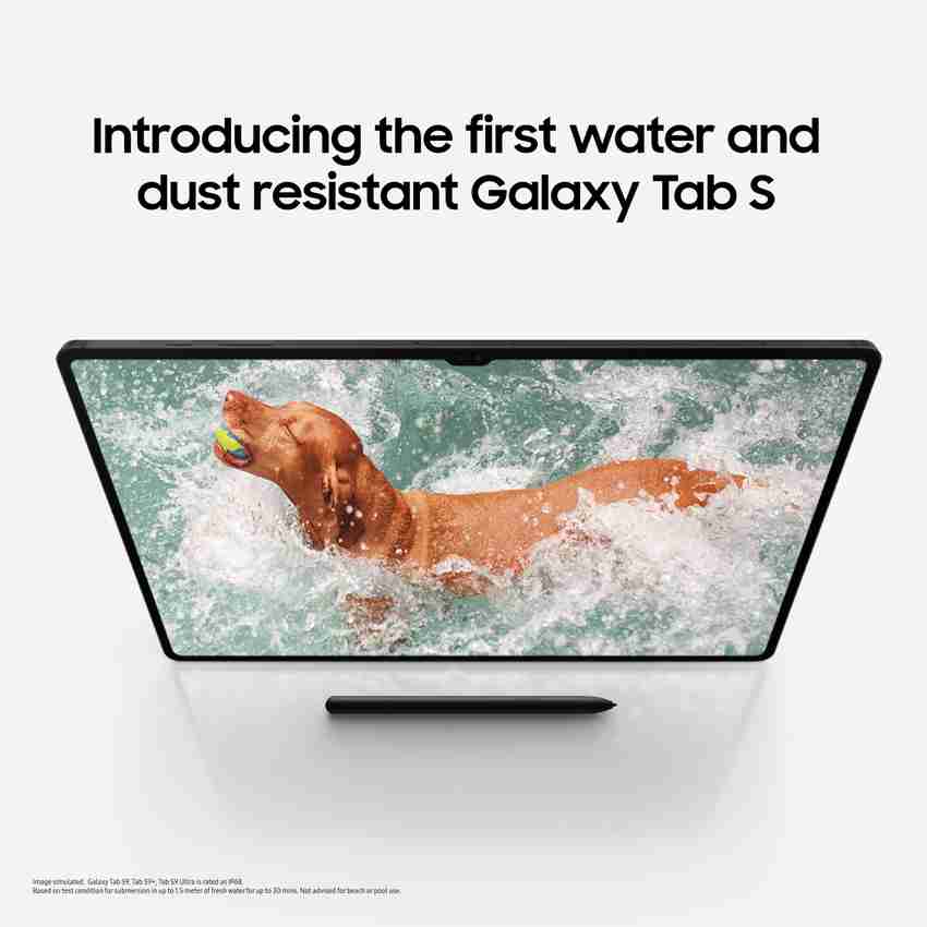 SAMSUNG Galaxy Tab S9 Ultra 12 GB RAM 512 GB ROM 14.6 Inch with Wi 