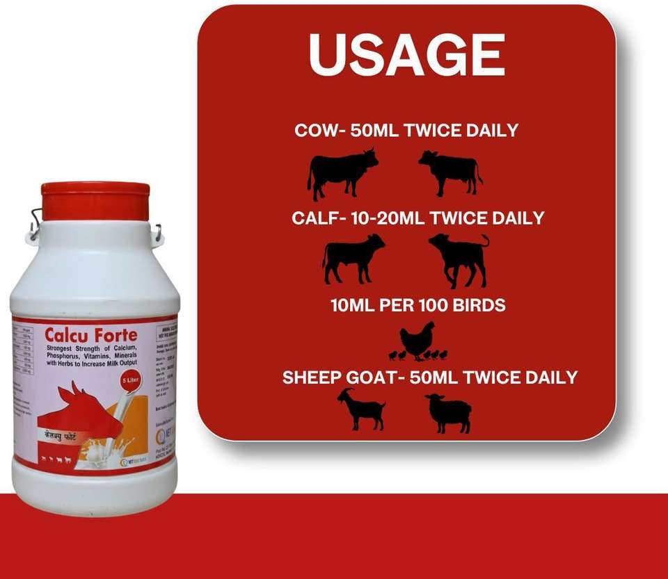 vet cure quick Calcu Forte Liquid Calcium Supplement 5L - Image 9