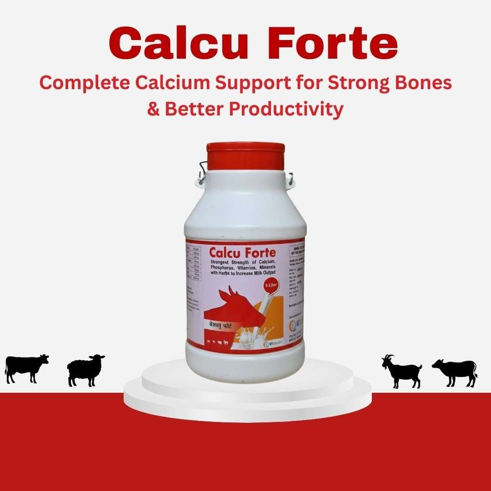 vet cure quick Calcu Forte Liquid Calcium Supplement 5L - Image 7